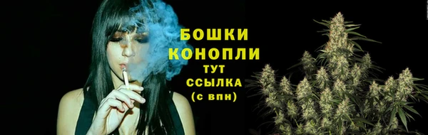 прущий лед Гусев
