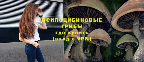 мескалин Гусь-Хрустальный