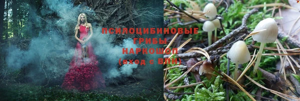 прущий лед Гусев