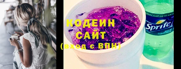 прущий лед Гусев