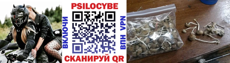 Псилоцибиновые грибы Psilocybine cubensis  Мытищи 